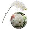 12-Pack: Real Touch White Phalaenopsis Orchid Stem, Floral Home by Artificial Flowers